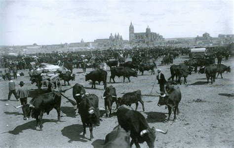 ElTesoSalamanca